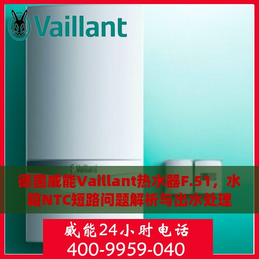 德国威能Vaillant热水器F.51，水箱NTC短路问题解析与出水处理指南