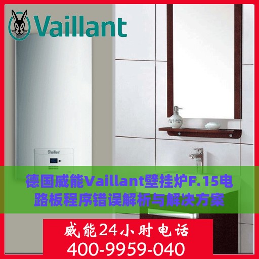 德国威能Vaillant壁挂炉F.15电路板程序错误解析与解决方案