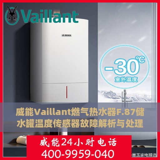 威能Vaillant燃气热水器F.87储水罐温度传感器故障解析与处理方法
