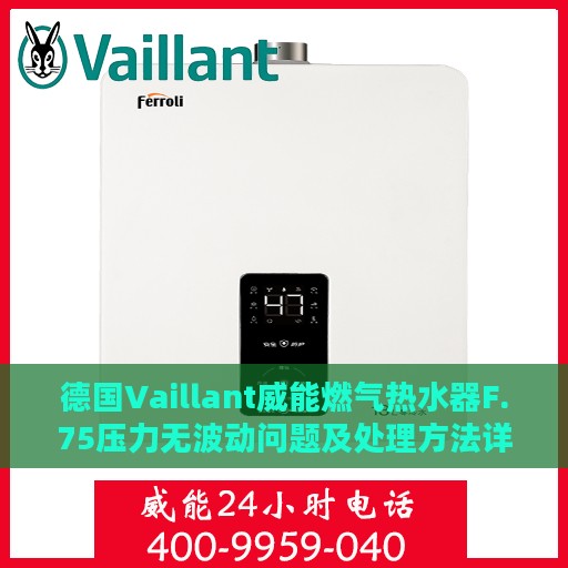 德国Vaillant威能燃气热水器F.75压力无波动问题及处理方法详解