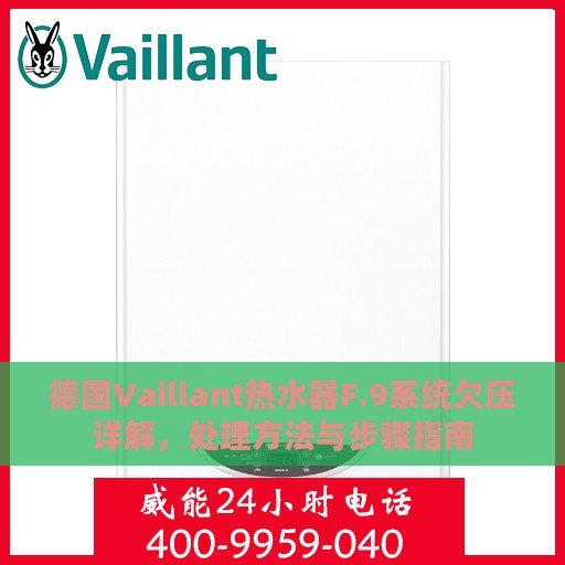 德国Vaillant热水器F.9系统欠压详解，处理方法与步骤指南