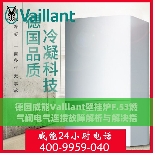 德国威能Vaillant壁挂炉F.53燃气阀电气连接故障解析与解决指南