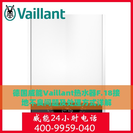 德国威能Vaillant热水器F.18接地不良问题及处理方式详解