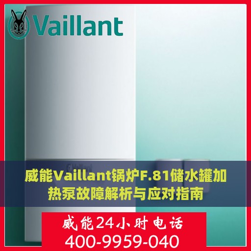 威能Vaillant锅炉F.81储水罐加热泵故障解析与应对指南