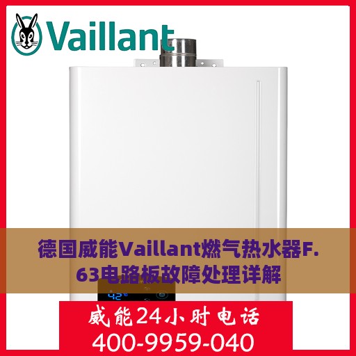 德国威能Vaillant燃气热水器F.63电路板故障处理详解