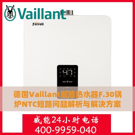 德国Vaillant威能热水器F.30锅炉NTC短路问题解析与解决方案