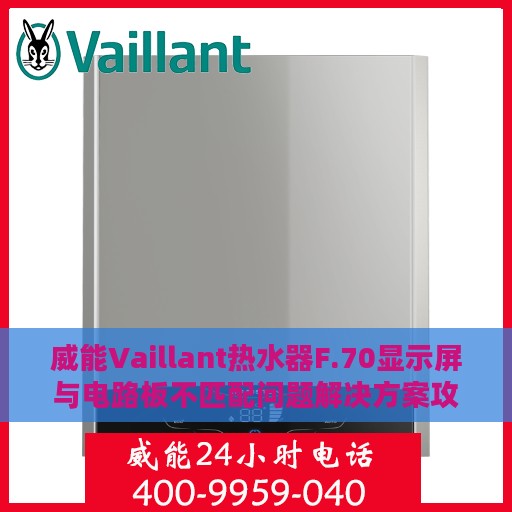 威能Vaillant热水器F.70显示屏与电路板不匹配问题解决方案攻略