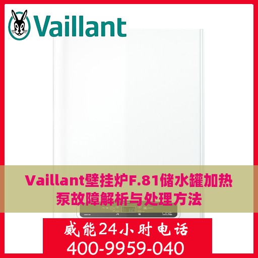 Vaillant壁挂炉F.81储水罐加热泵故障解析与处理方法