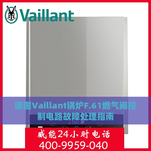德国Vaillant锅炉F.61燃气阀控制电路故障处理指南