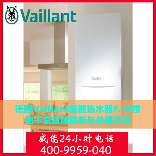 德国Vaillant威能热水器F.18接地不良故障解析与处理方法
