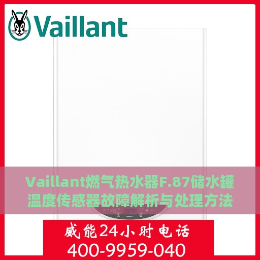 Vaillant燃气热水器F.87储水罐温度传感器故障解析与处理方法