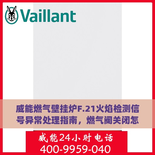 威能燃气壁挂炉F.21火焰检测信号异常处理指南，燃气阀关闭怎么办？