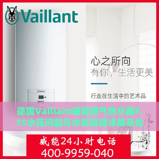 德国Vaillant威能燃气热水器F.75水压问题与水泵故障详解及处理方式指南