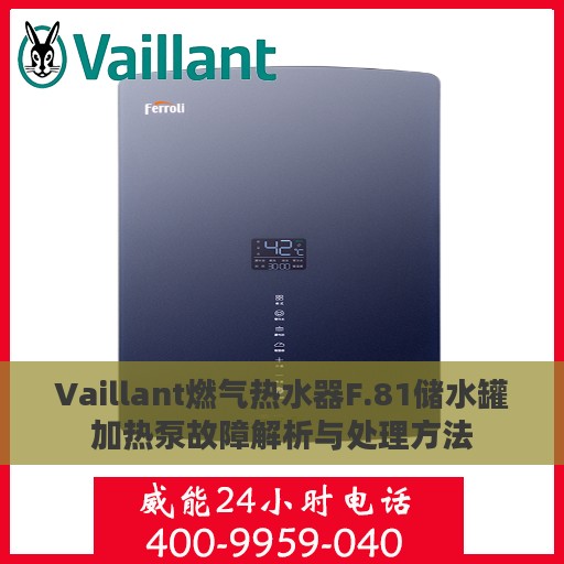 Vaillant燃气热水器F.81储水罐加热泵故障解析与处理方法