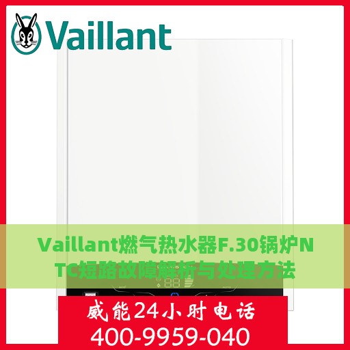 Vaillant燃气热水器F.30锅炉NTC短路故障解析与处理方法