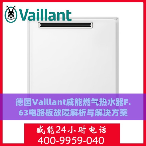 德国Vaillant威能燃气热水器F.63电路板故障解析与解决方案