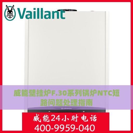 威能壁挂炉F.30系列锅炉NTC短路问题处理指南
