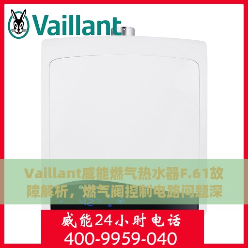 Vaillant威能燃气热水器F.61故障解析，燃气阀控制电路问题深度剖析与解决方案