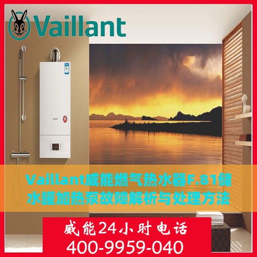 Vaillant威能燃气热水器F.81储水罐加热泵故障解析与处理方法