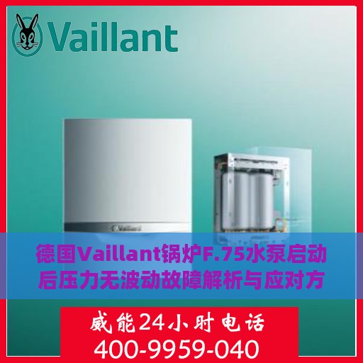 德国Vaillant锅炉F.75水泵启动后压力无波动故障解析与应对方案
