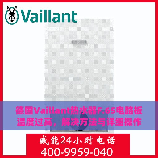 德国Vaillant热水器F.65电路板温度过高，解决方法与详细操作指南
