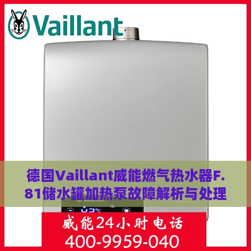 德国Vaillant威能燃气热水器F.81储水罐加热泵故障解析与处理方法
