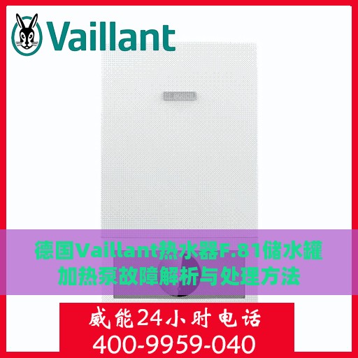 德国Vaillant热水器F.81储水罐加热泵故障解析与处理方法