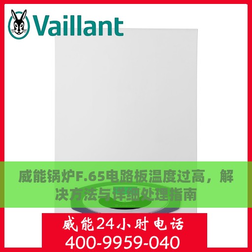 威能锅炉F.65电路板温度过高，解决方法与详细处理指南
