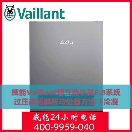 威能Vaillant燃气热水器F.8系统过压故障解析与处理方法（冷凝炉篇）
