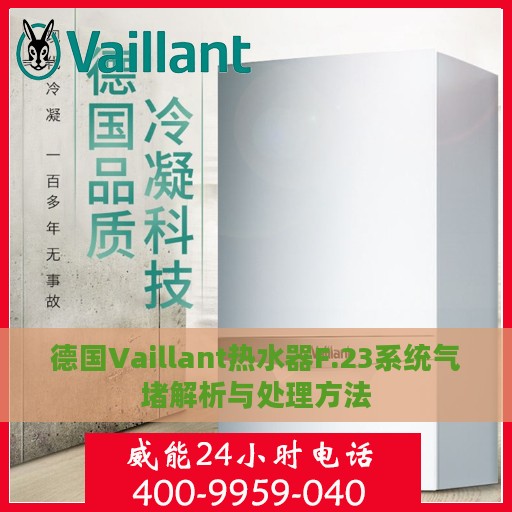 德国Vaillant热水器F.23系统气堵解析与处理方法