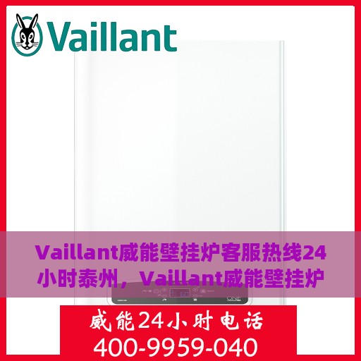 Vaillant威能壁挂炉客服热线24小时泰州，Vaillant威能壁挂炉泰州全天候客服热线，贴心服务随时在线