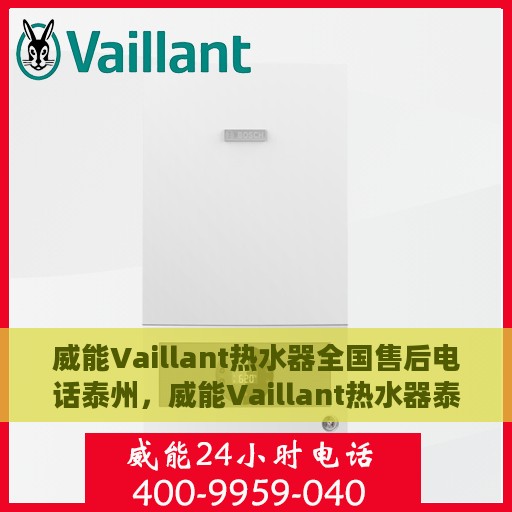 威能Vaillant热水器全国售后电话泰州，威能Vaillant热水器泰州售后热线及全国服务电话详解