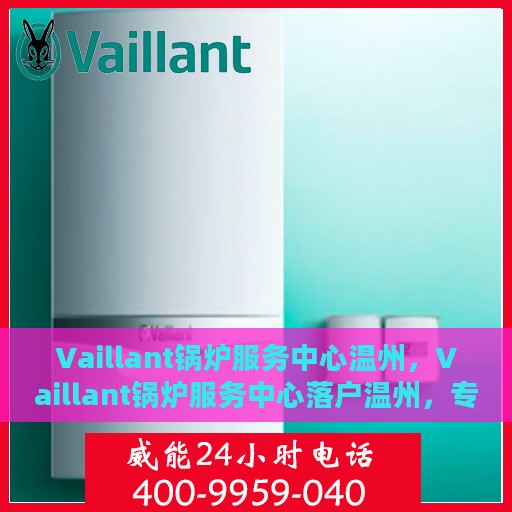 Vaillant锅炉服务中心温州，Vaillant锅炉服务中心落户温州，专业维修与高效服务的完美结合