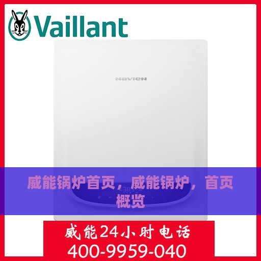 威能锅炉首页，威能锅炉，首页概览
