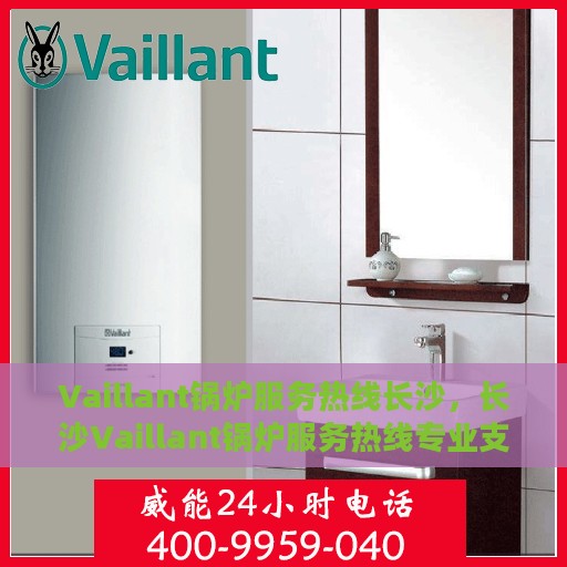 Vaillant锅炉服务热线长沙，长沙Vaillant锅炉服务热线专业支持团队