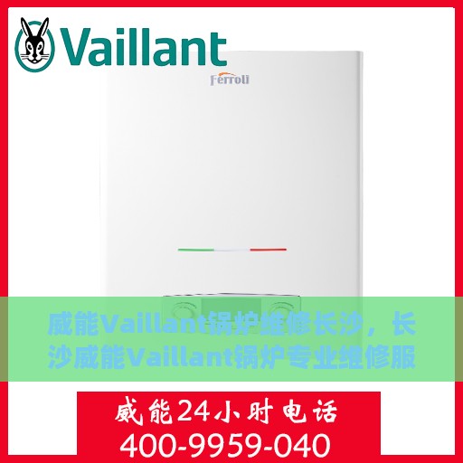 威能Vaillant锅炉维修长沙，长沙威能Vaillant锅炉专业维修服务