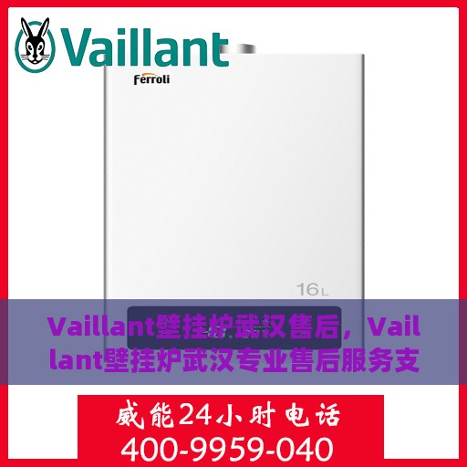 Vaillant壁挂炉武汉售后，Vaillant壁挂炉武汉专业售后服务支持中心