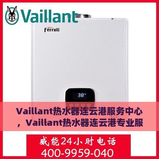 Vaillant热水器连云港服务中心，Vaillant热水器连云港专业服务中心，高效维修与保养，温暖您的生活