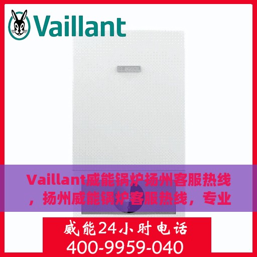 Vaillant威能锅炉扬州客服热线，扬州威能锅炉客服热线，专业支持与解决方案热线