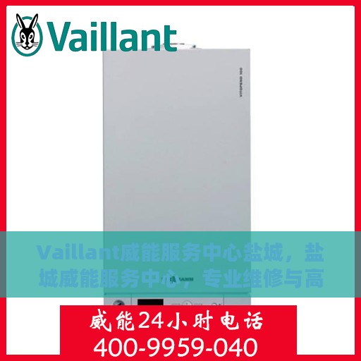 Vaillant威能服务中心盐城，盐城威能服务中心，专业维修与高效服务并行
