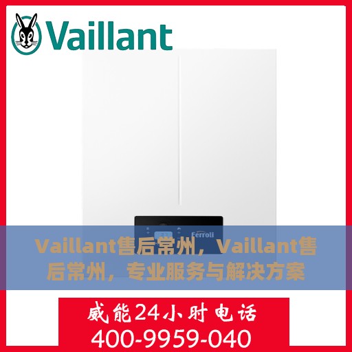 Vaillant售后常州，Vaillant售后常州，专业服务与解决方案