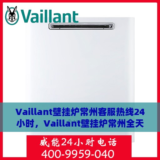 Vaillant壁挂炉常州客服热线24小时，Vaillant壁挂炉常州全天候客服热线，贴心服务随时在线