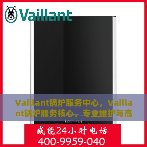 Vaillant锅炉服务中心，Vaillant锅炉服务核心，专业维护与高效运行保障