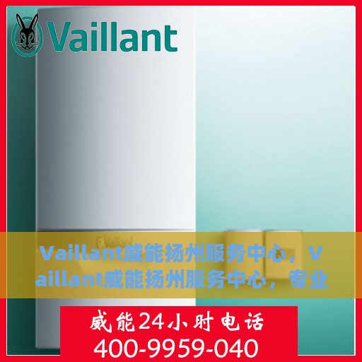 Vaillant威能扬州服务中心，Vaillant威能扬州服务中心，专业维修与卓越服务的结合