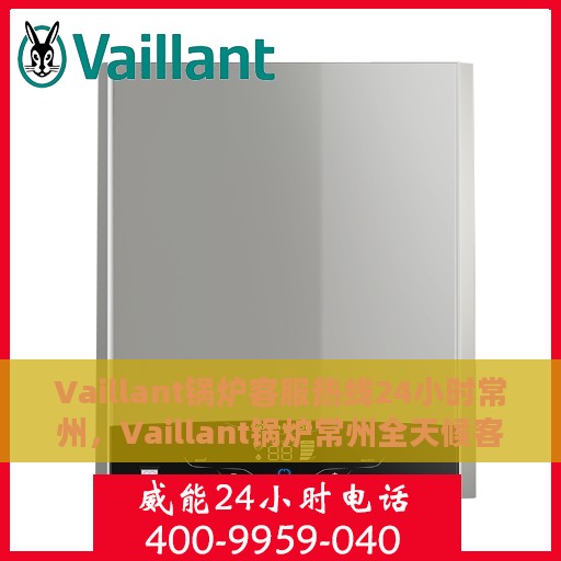 Vaillant锅炉客服热线24小时常州，Vaillant锅炉常州全天候客服热线，贴心服务随时在线