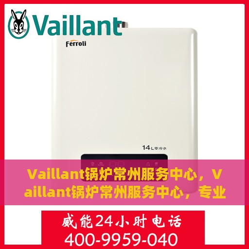 Vaillant锅炉常州服务中心，Vaillant锅炉常州服务中心，专业维修与卓越服务的完美结合