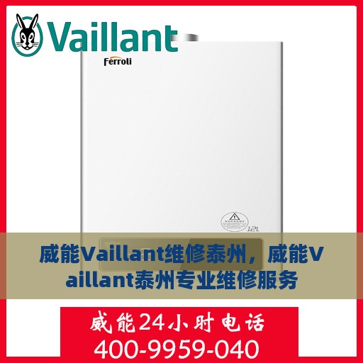 威能Vaillant维修泰州，威能Vaillant泰州专业维修服务