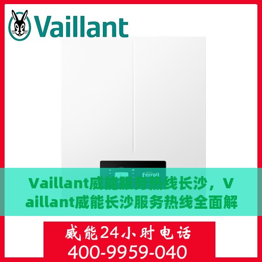 Vaillant威能服务热线长沙，Vaillant威能长沙服务热线全面解析，专业解决您的需求！