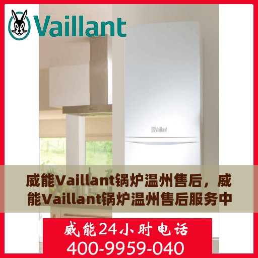 威能Vaillant锅炉温州售后，威能Vaillant锅炉温州售后服务中心，专业维修与保养一站式解决方案