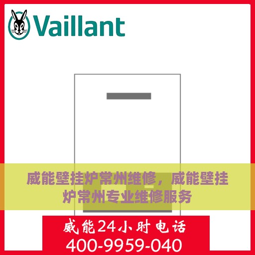 威能壁挂炉常州维修，威能壁挂炉常州专业维修服务